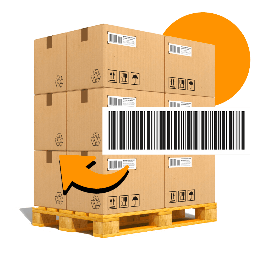Ship Florida Amazon